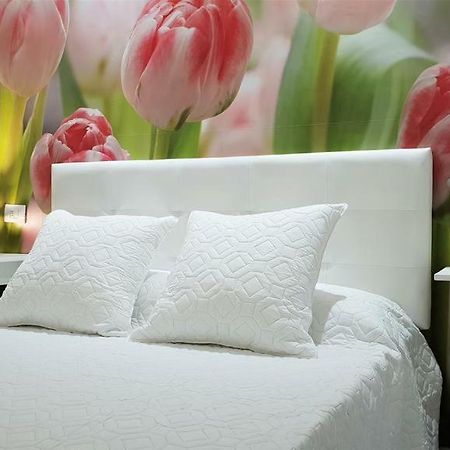 Home Sweet Home 阿罗纳 外观 照片